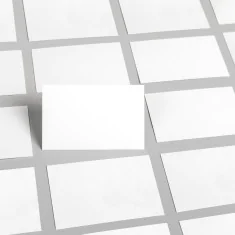 APLI Cartes de Visite Rigides 250gr 89x51mm 10feuilles x10ud